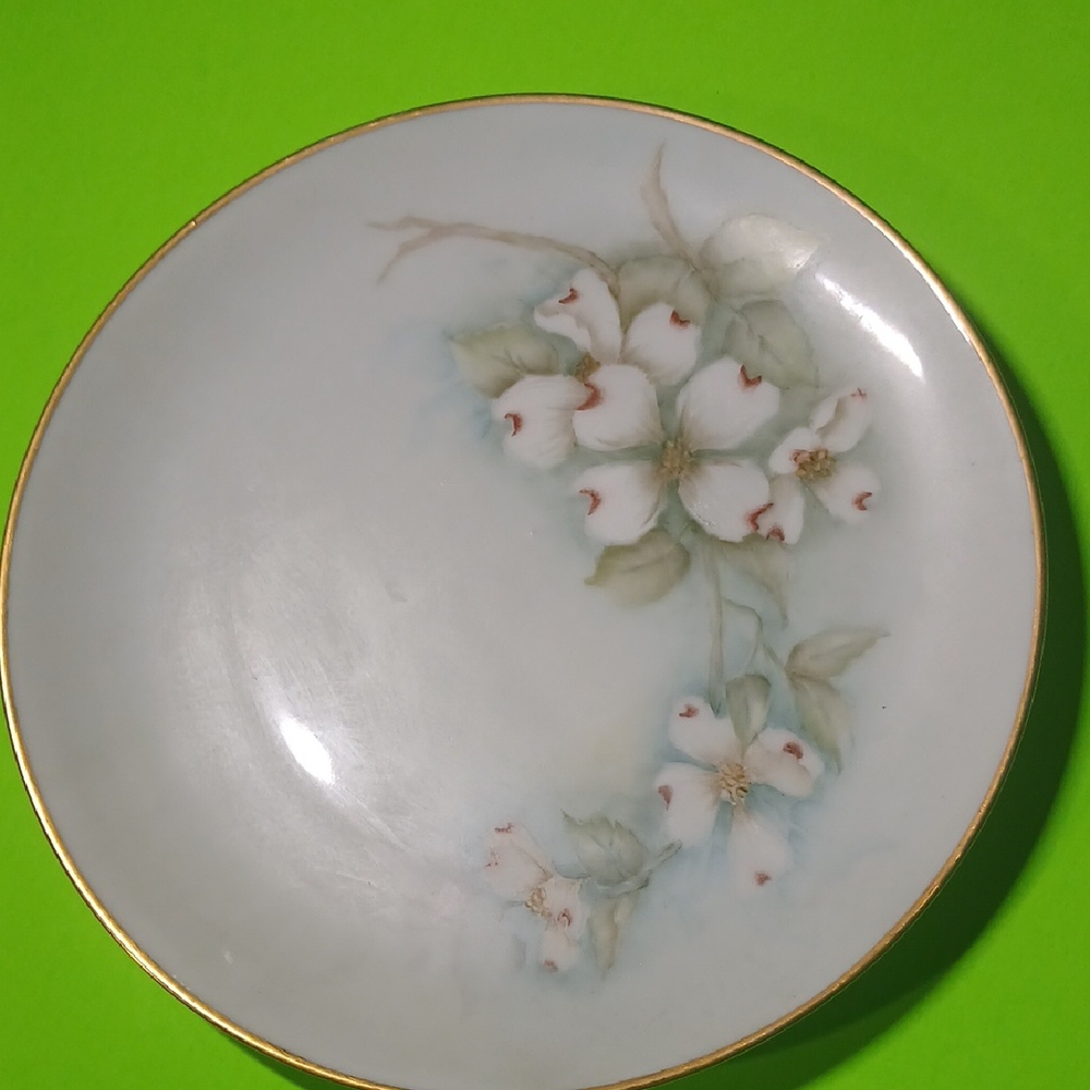 Floral Porcelain Plate with Gold Trim